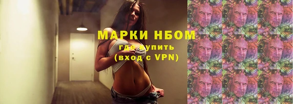 дживик Пересвет
