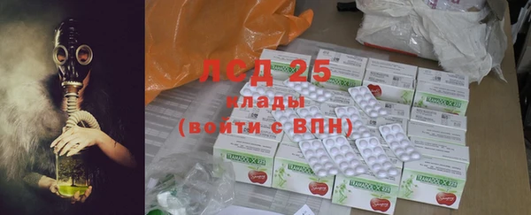 дживик Пересвет
