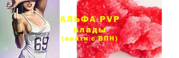 хмурый Пестово