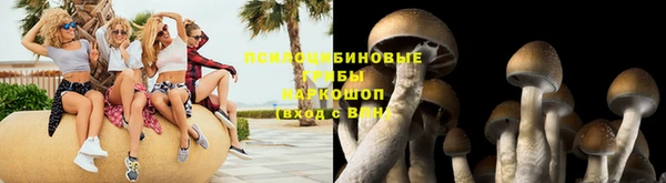 apvp Переславль-Залесский