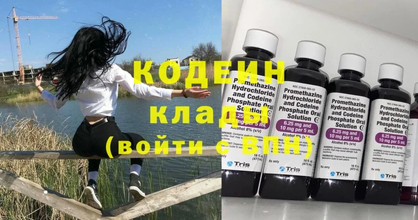 хмурый Пестово