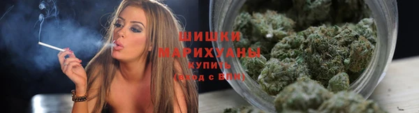 дживик Пересвет