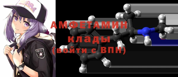 дживик Пересвет