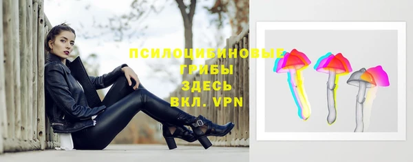 apvp Переславль-Залесский