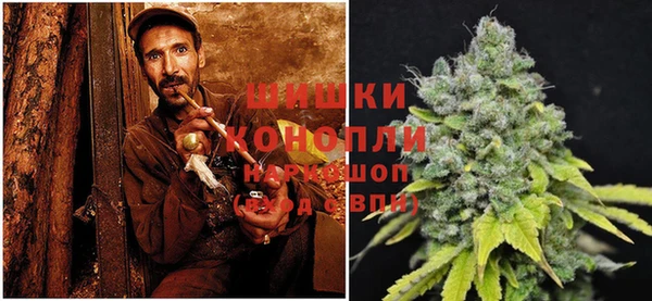 хмурый Пестово