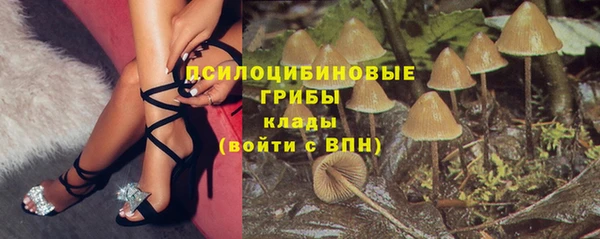 хмурый Пестово