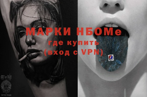 хмурый Пестово
