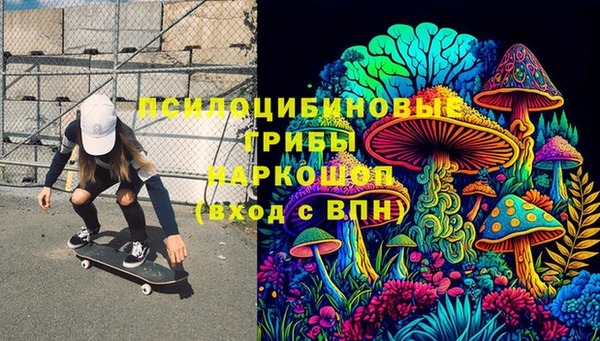 хмурый Пестово