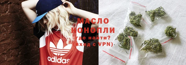 дживик Пересвет