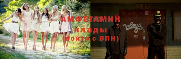 дживик Пересвет