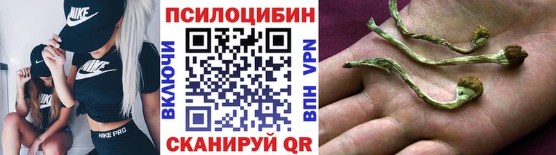 Псилоцибиновые грибы MAGIC MUSHROOMS  Тобольск 